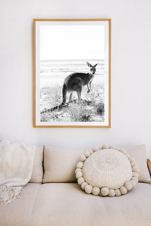 Kangaroos #10