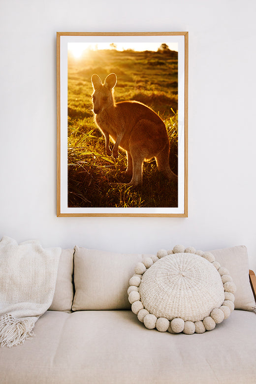 Kangaroos #30