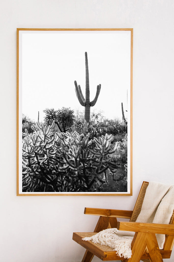 Saguaro #23