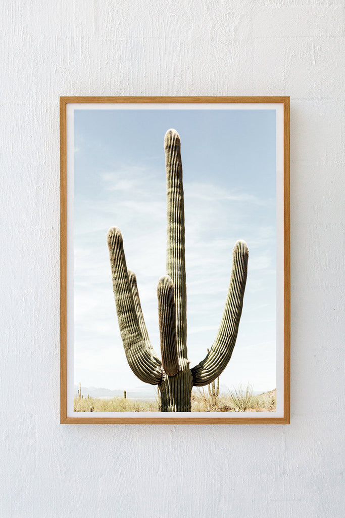 Saguaro #22