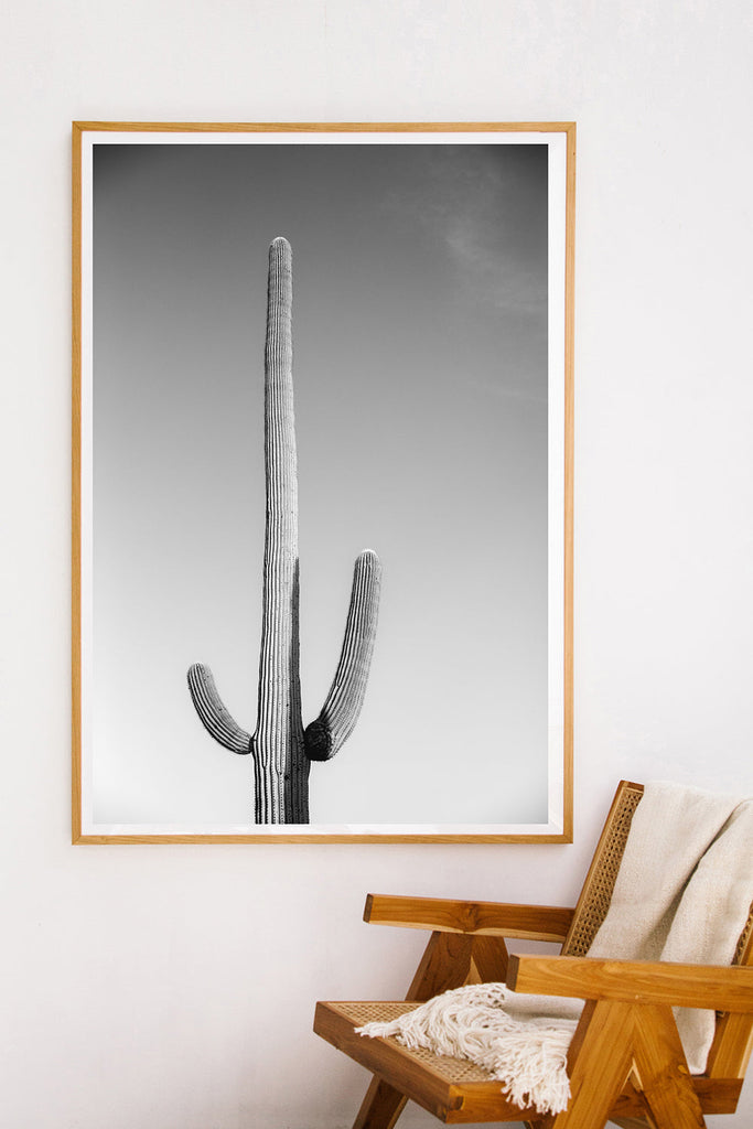 Saguaro #12 B&W