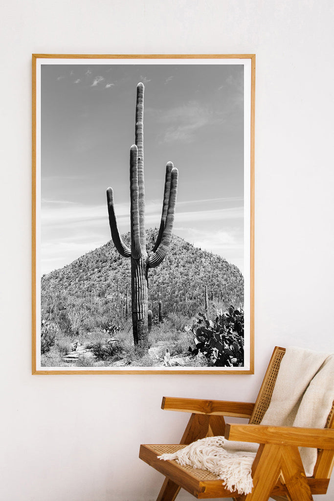 Saguaro #20