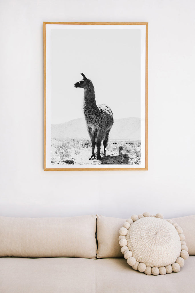 Llama #39