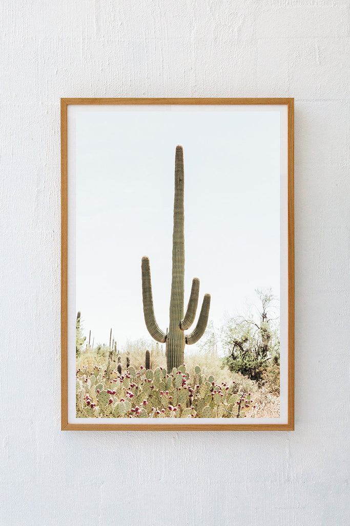 Saguaro #4