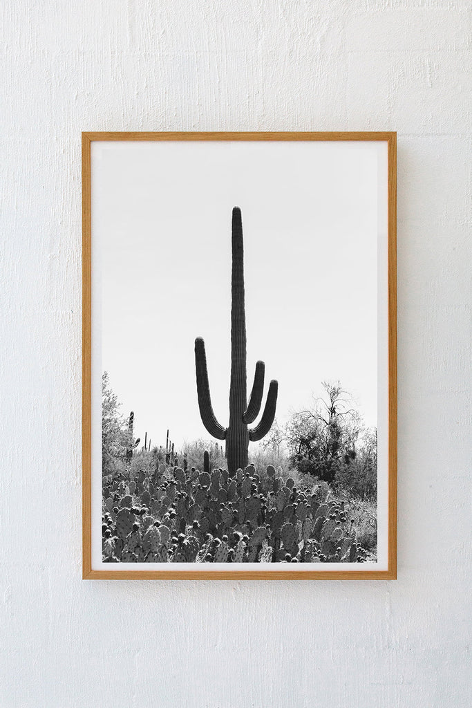 Saguaro #4 B&W