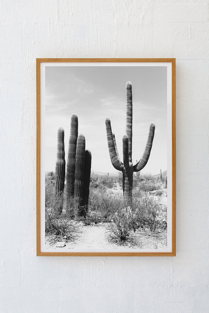 Saguaro #6 B&W