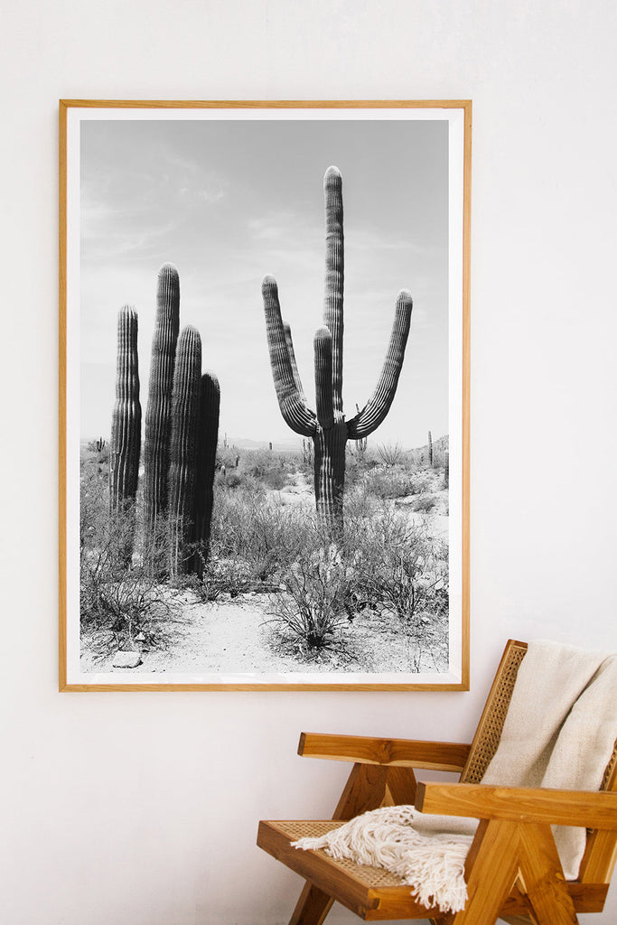 Saguaro #6 B&W