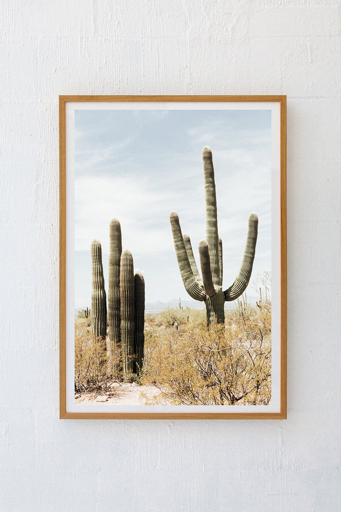 Saguaro #6