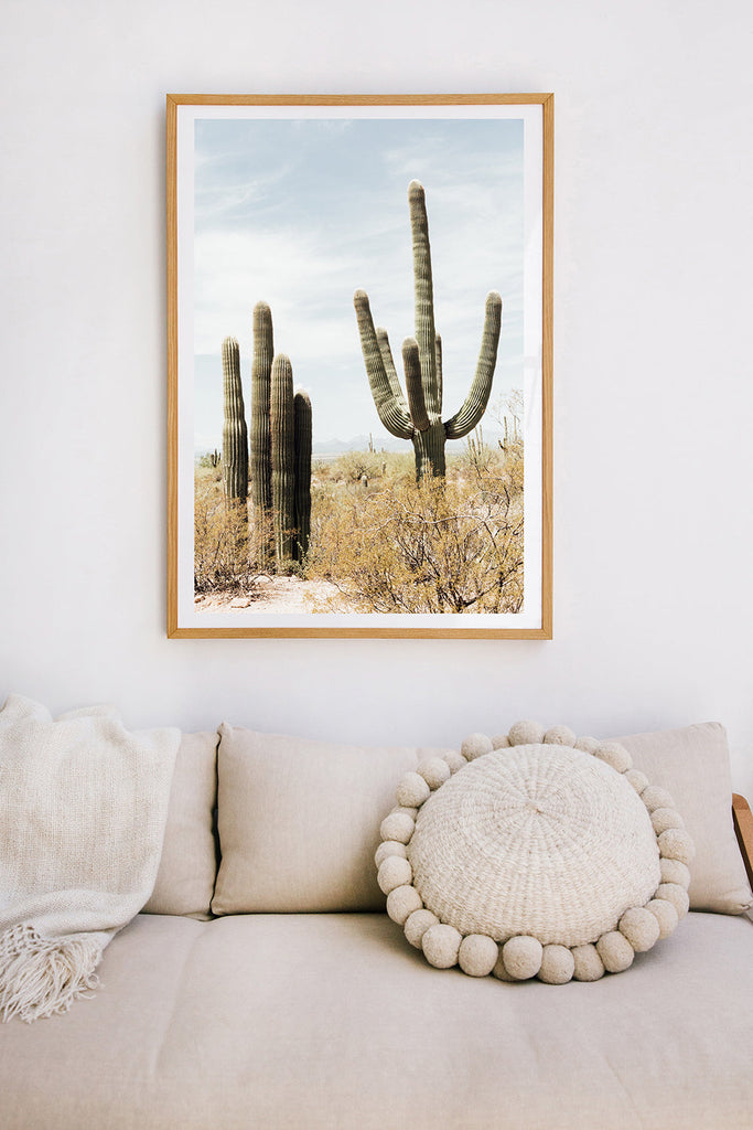 Saguaro #6