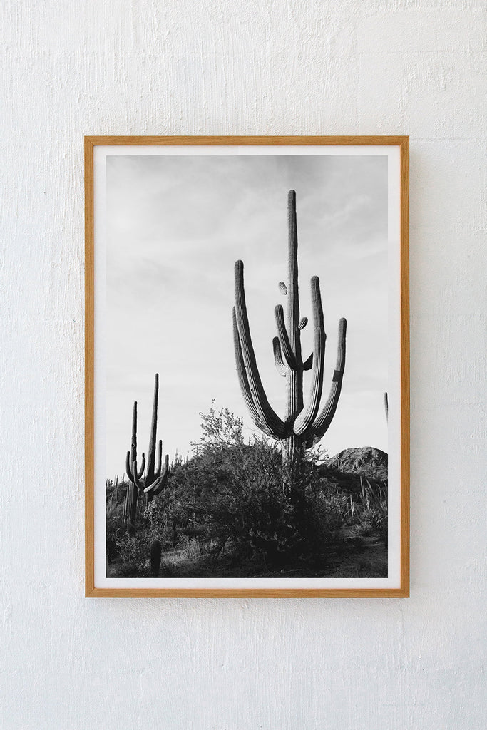 Saguaro #10