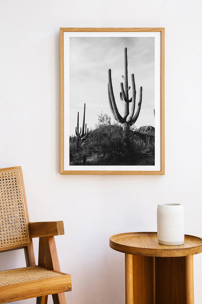 Saguaro #10