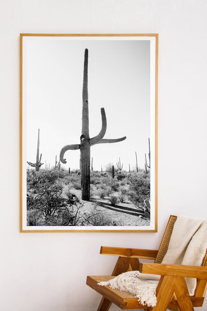 Saguaro #5