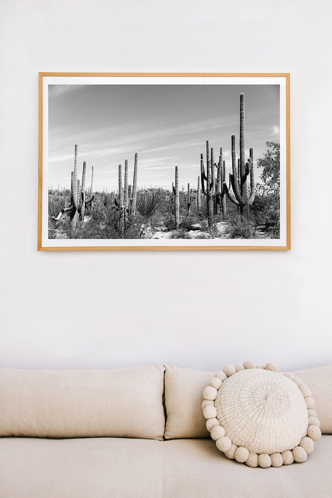 Saguaro #2