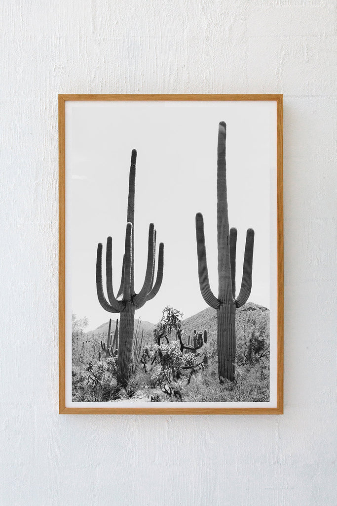 Saguaro #3