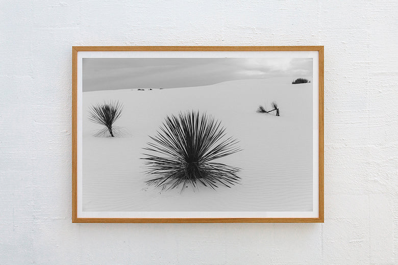 White Sands #13