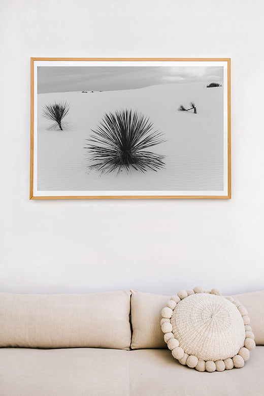 White Sands #13