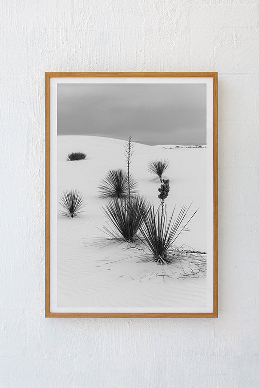 White Sands #14