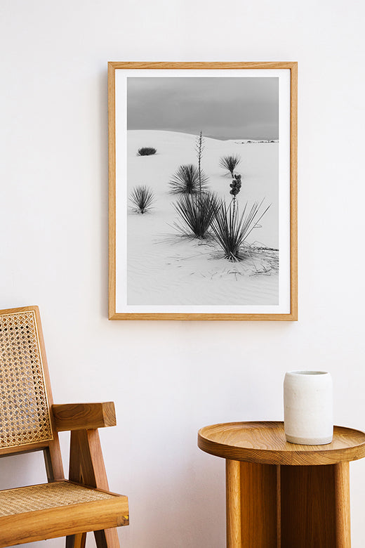 White Sands #14