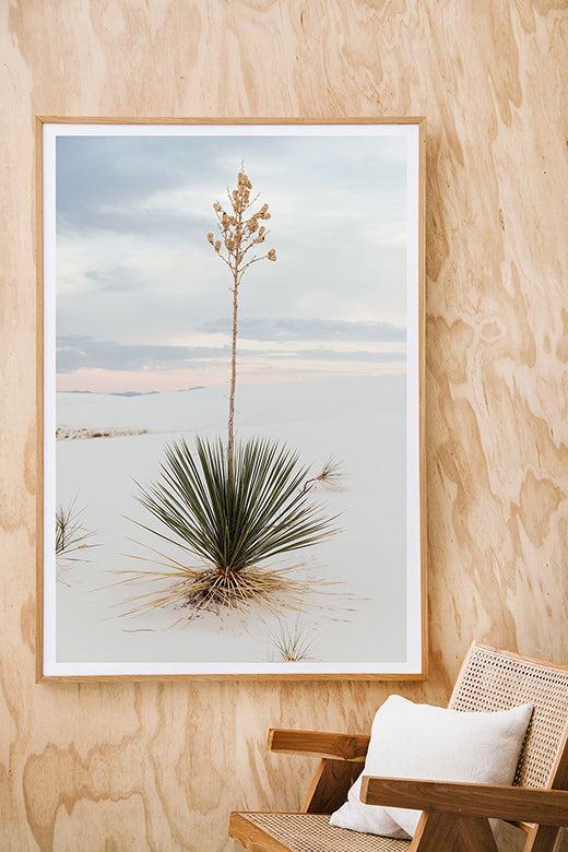 White Sands #15