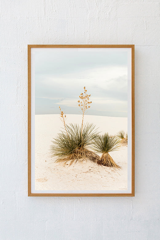 White Sands #19