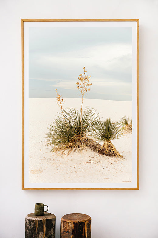 White Sands #19