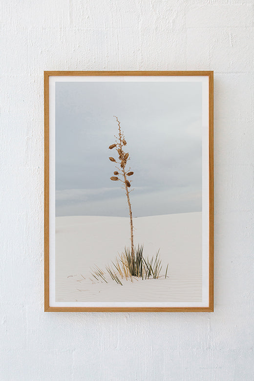 White Sands #7