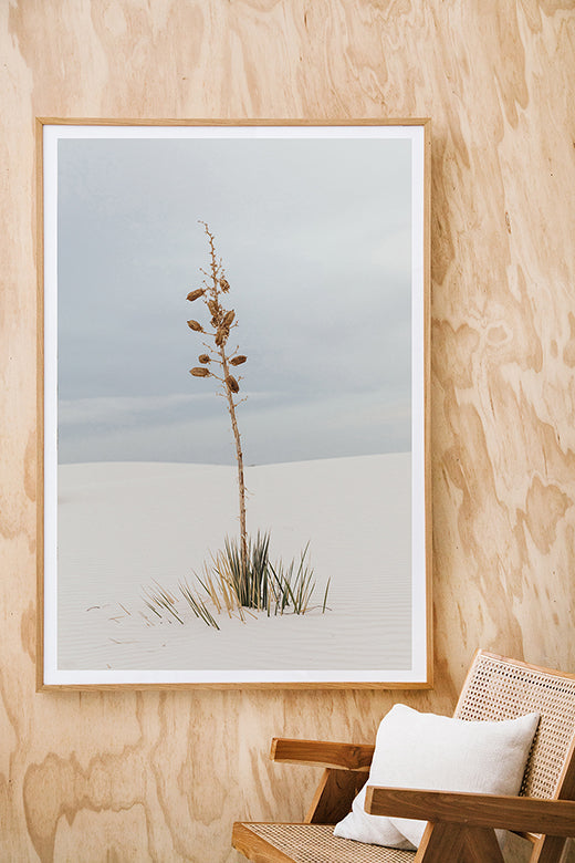 White Sands #7